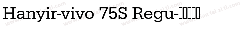 Hanyir-vivo 75S Regu字体转换